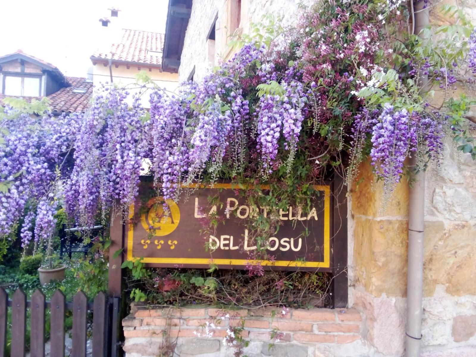 La Portiella Del Llosu Pandiello エクステリア 写真